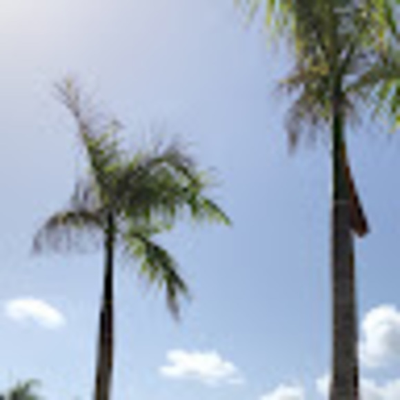 Meet your Posher, Nadia - Picture 1 of 1